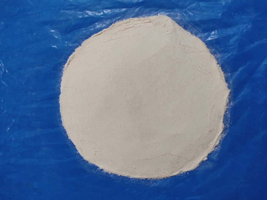 Dehydrated Leek White powder